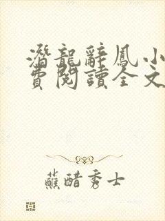 潜龙辞凤小说免费阅读全文最新章节封面