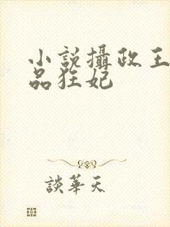 小说摄政王的医品狂妃