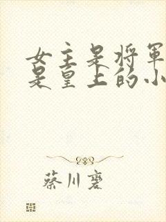 女主是将军男主是皇上的小说