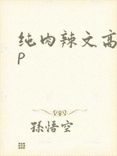 纯肉辣文高hnp封面