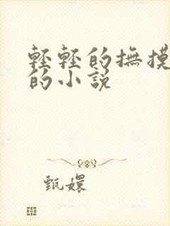 轻轻的抚摸乳房的小说