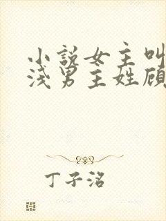 小说女主叫苏浅浅男主姓顾