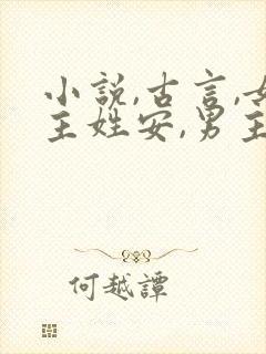 小说,古言,女主姓安,男主是个将军