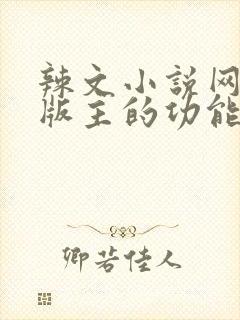 辣文小说网第一版主的功能介绍