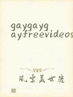 gaygaygayfreevideos