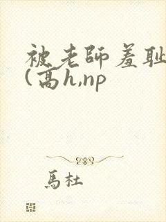 被老师羞耻调教(高h,np封面