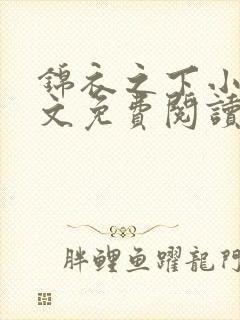 锦衣之下小说全文免费阅读无弹窗封面