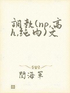 调教(np,高h,纯肉)文