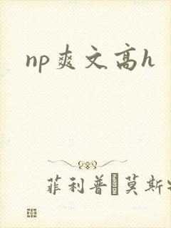 np爽文高h