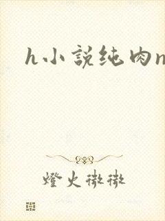 h小说纯肉np