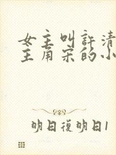 女主叫许清欢男主角宋的小说封面
