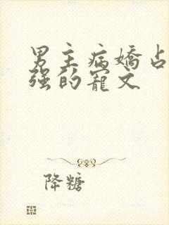 男主病娇占有欲强的宠文