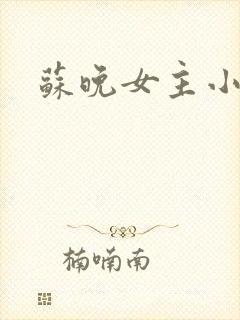 苏晚女主小说名