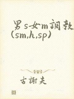 男s女m调教文(sm,h,sp)