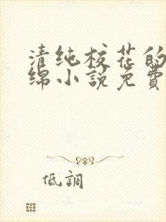 清纯校花的苏绵绵小说免费阅读