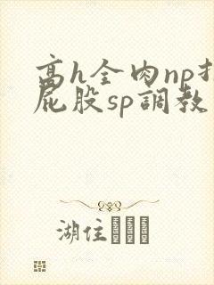 高h全肉np打屁股sp调教