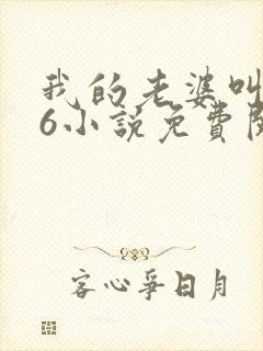 我的老婆叫武艳6小说免费阅读