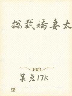 总裁娇妻太甜了