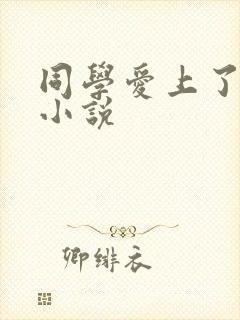 同学爱上了妈妈小说封面