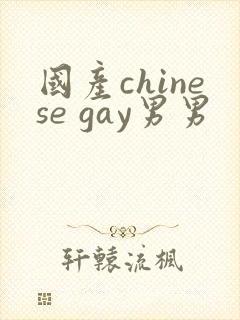 国产chinese gay男男