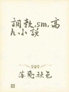 调教,sm,高h小说