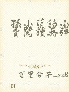 孙小萌的小说免费阅读无弹窗