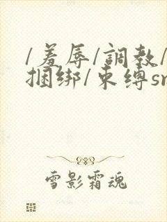 /羞辱/调教/捆绑/束缚sm的小说封面