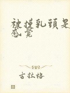 被摸乳头是什么感觉封面