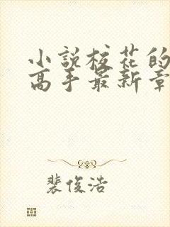 小说校花的贴身高手最新章节列表列表