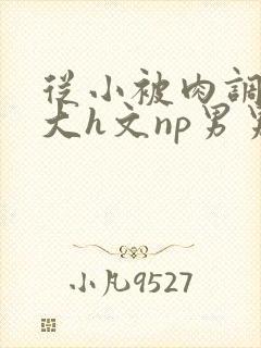 从小被肉调教到大h文np男男