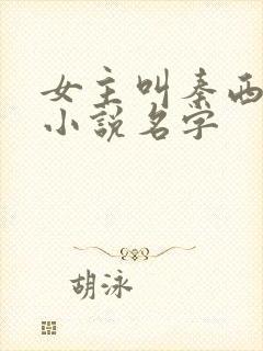 女主叫秦西流的小说名字封面