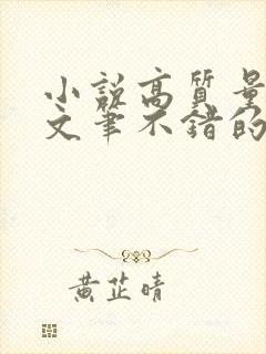 小说高质量言情文笔不错的