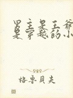 男主是王爷女主是穿越的小说封面