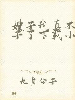 嫂子我真不是傻子了下载小说