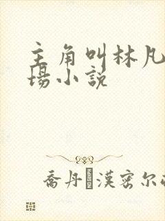 主角叫林凡的官场小说封面