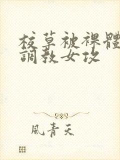 校草被裸体玩弄调教女攻封面