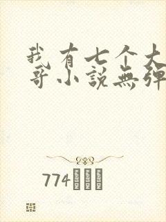 我有七个大佬哥哥小说无弹窗