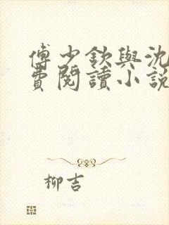 傅少钦与沈湘免费阅读小说无弹窗