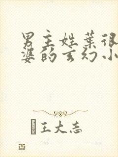 男主姓叶很多老婆的玄幻小说