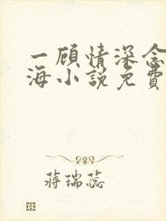 一顾情深念念似海小说免费阅读