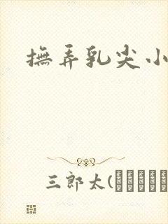 抚弄乳尖小说