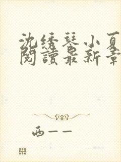 沈绣琴小夏全文阅读最新章节