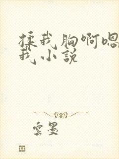 揉我胸啊嗯～c我小说