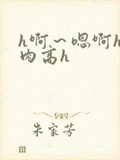 h啊～嗯啊h巨肉高h