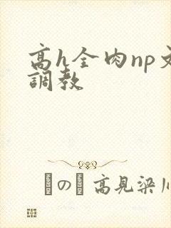 高h全肉np文调教
