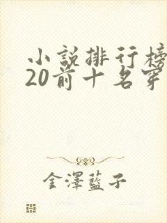 小说排行榜2020前十名穿越封面