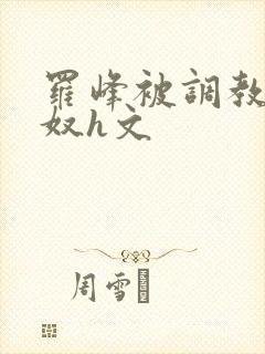 罗峰被调教成肉奴h文封面