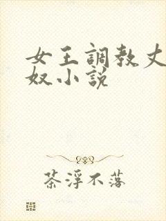 女王调教丈夫为奴小说