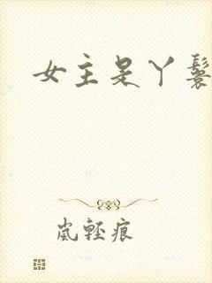 女主是丫鬟古言