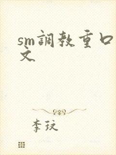sm调教重口h文封面
